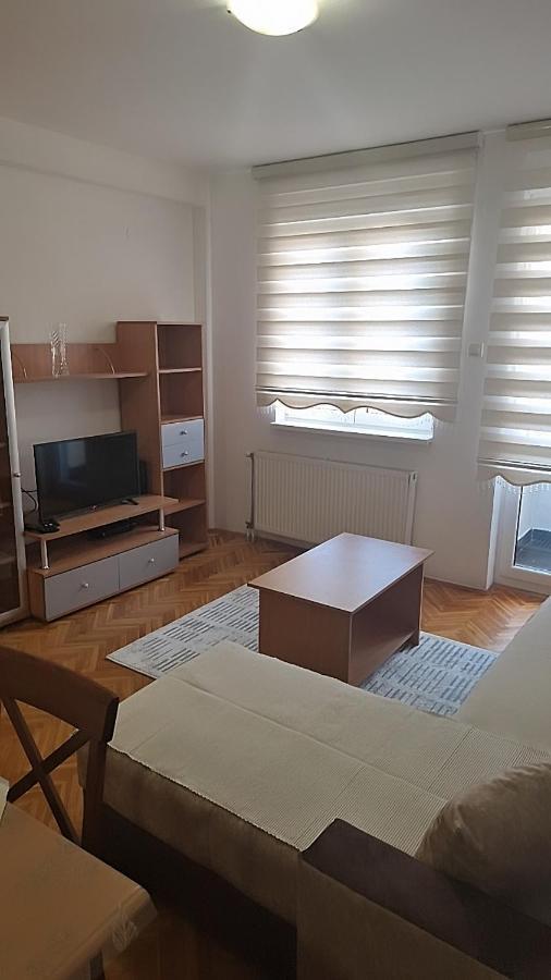 Vodenica Apartment Novi Sad Bagian luar foto